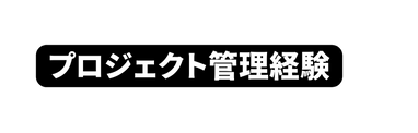 プロジェクト管理経験